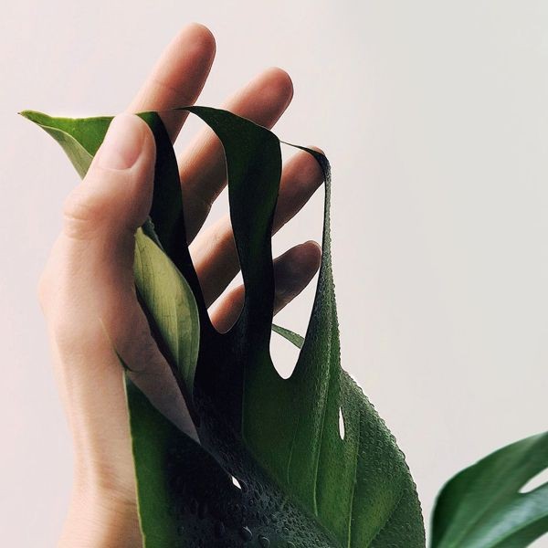 Cosmesi naturale