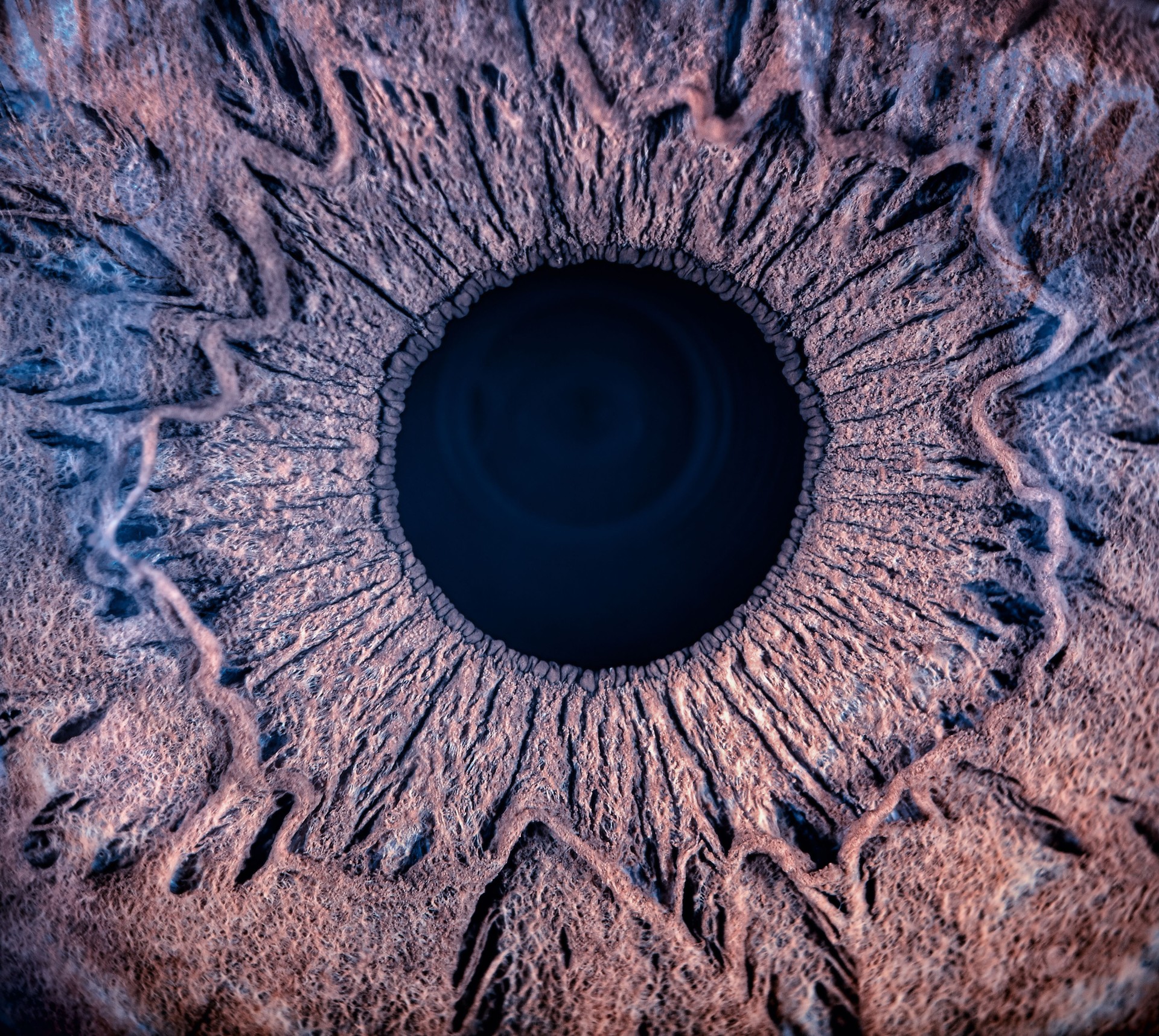 Macro image of human eye